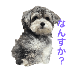 YAMADA_20220127200614