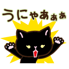 Little black cat SHINOBU