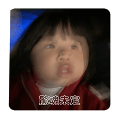 豆子日常表情
