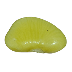 Food Series : Some Lima Bean