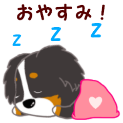 Bernese Mountain Dog Everyday Stickers