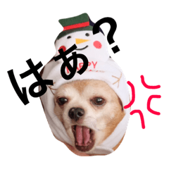 Ruipyonkiti