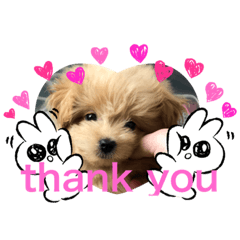 MICHIKO_20220127232029