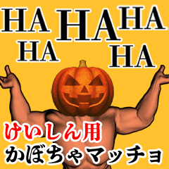 Keishin Pumpkin macho