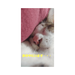ak_20220127204019