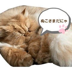 yukari_20220128145131