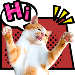 American comics style Cat photo sticker.