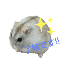 saori_20220128151149