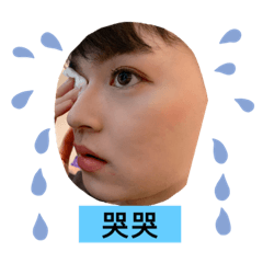 閃亮三姐妹 ZDG