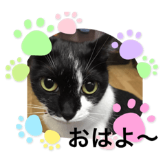 hana_20220128163731