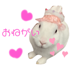 Shirousaginomixityansutanpu