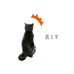 Hana_20220128201144