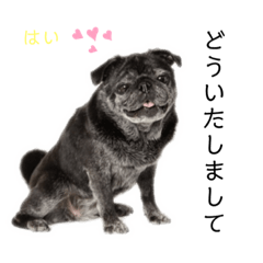 suechan_20220128204647
