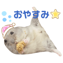omochi_20220128212950