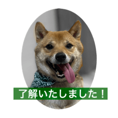 Kuu_20220129001003