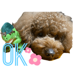 TOMOMI_20220129013146