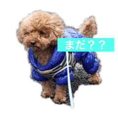 僕はイケメンレオ君