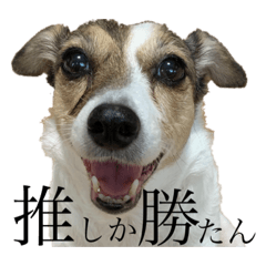 Hana_20220129033146