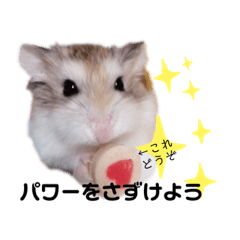 shiho_20220129095217