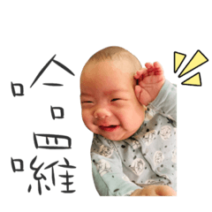 輔輔的日常❤️