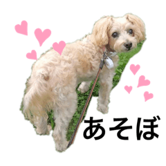 yuka_20220129101842