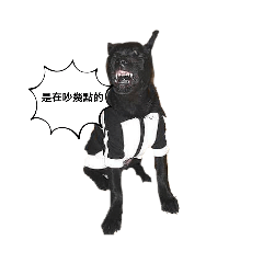 阿寶的圖圖⊂(◉‿◉)つ