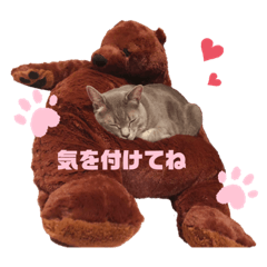 alice_20220128210342