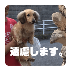 Kii_20220128200436