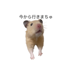 nanami_20220128205618