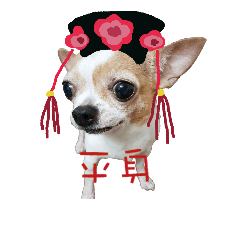 如果吳嘴嘴講人話