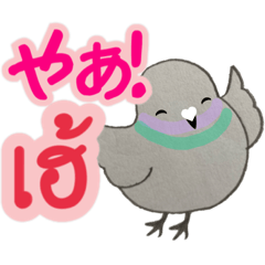 Cute pigeons Thai & Japanese sticker.