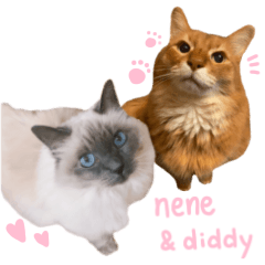 Nene&Diddy