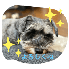 saori_20220128225159