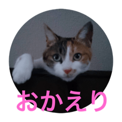 akiko_20220129115855