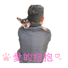 消防Miru