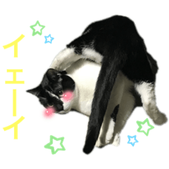 hana_20220129133535