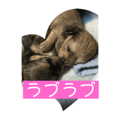 kaori_20220129143705