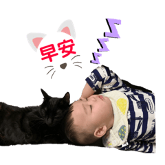 陳樂樂的早安系列