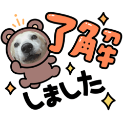 Chie_20220129101104