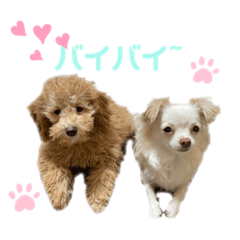 hana_20220129104742