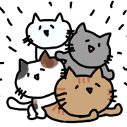 various cats!!!
