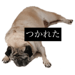 Yuka_20220129110336