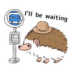 Hedgehog daily life!