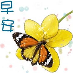 B&Y Greetings from Flower and Butterfly