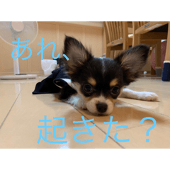 hiyori_20220129161015