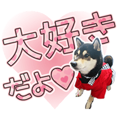 Shiba inu Sticker RIN's friend 01