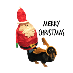 Mokichi's Christmas & The New Year