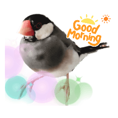 Cherry blossom bird stamp