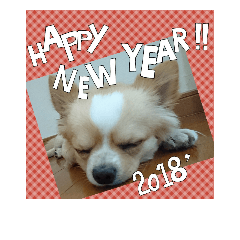 new year stamp 2018