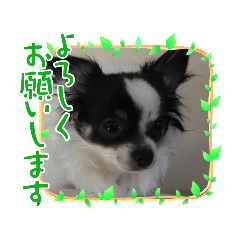 Rain_20220129124838